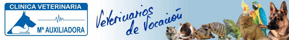 Clinica Veterinaria Mª Auxiliadora